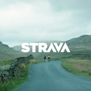Sunday morning cruising along the waterfront of Barwon Heads - Torquay Road. Surfers and cyclists everywhere.